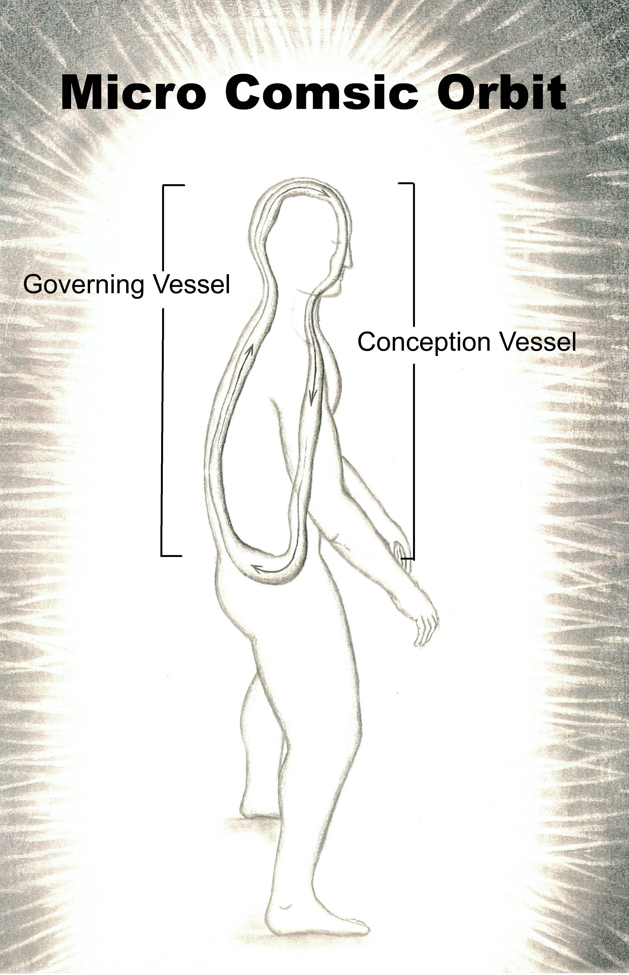 Figure-9-Micro-Cosmic-Orbit-governing-and-Conception-vessesl